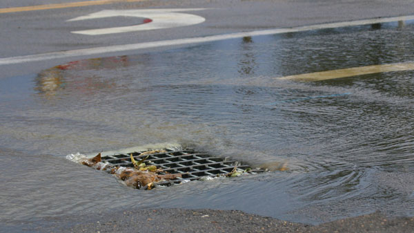 StormwaterGrate StormwaterGrate