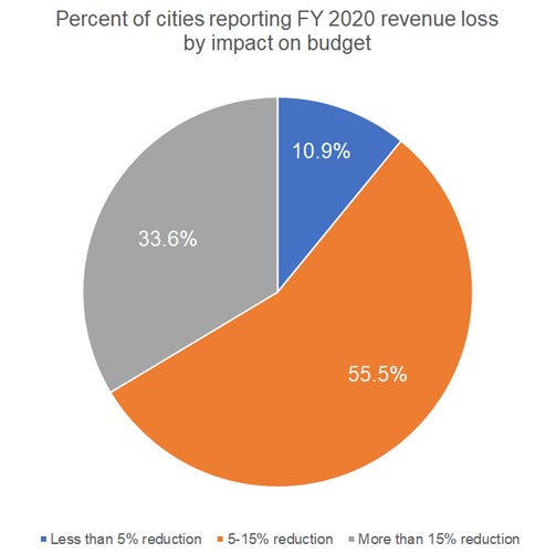 COVIDSurveyRevLoss2020ImpactBudget COVIDSurveyRevLoss2020ImpactBudget